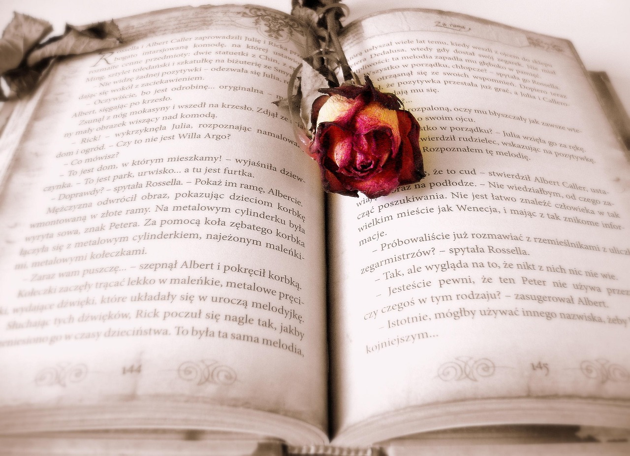 book, rose, book mark, open book, rose flower, pages, chapter, novel, read, literature, reading, bookworm